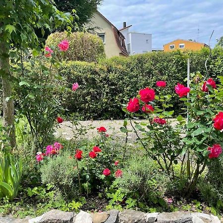 Fewo Apartment Lake Of Constance FDH Exterior photo