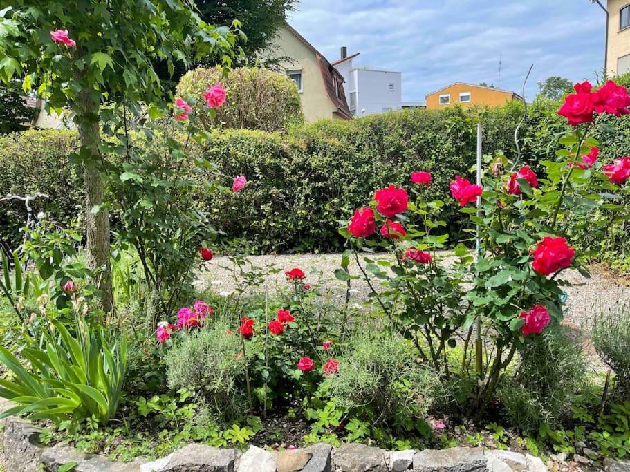 Fewo Apartment Lake Of Constance FDH Exterior photo